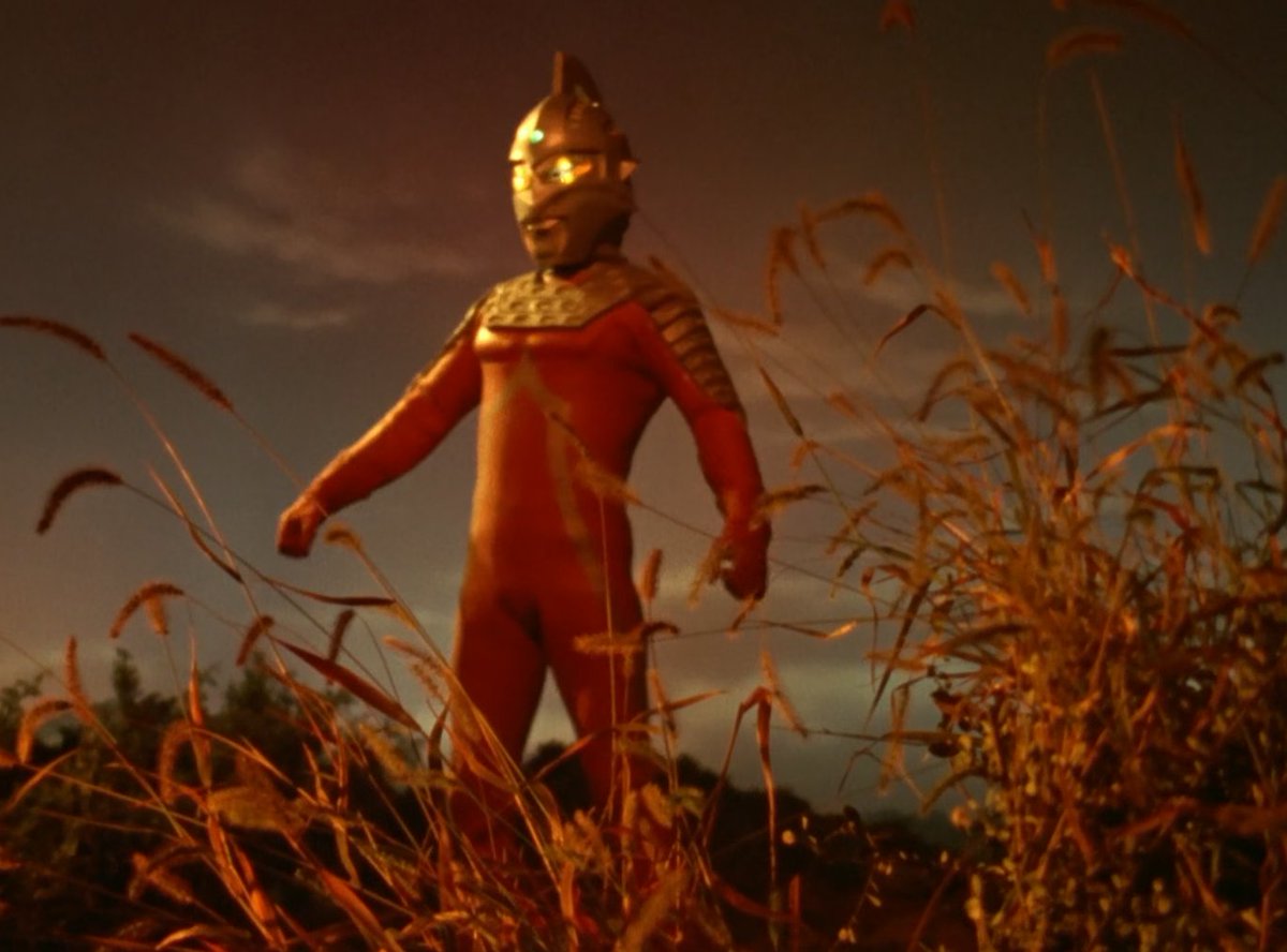 DGB - Dayan Geração Brasil tweet media