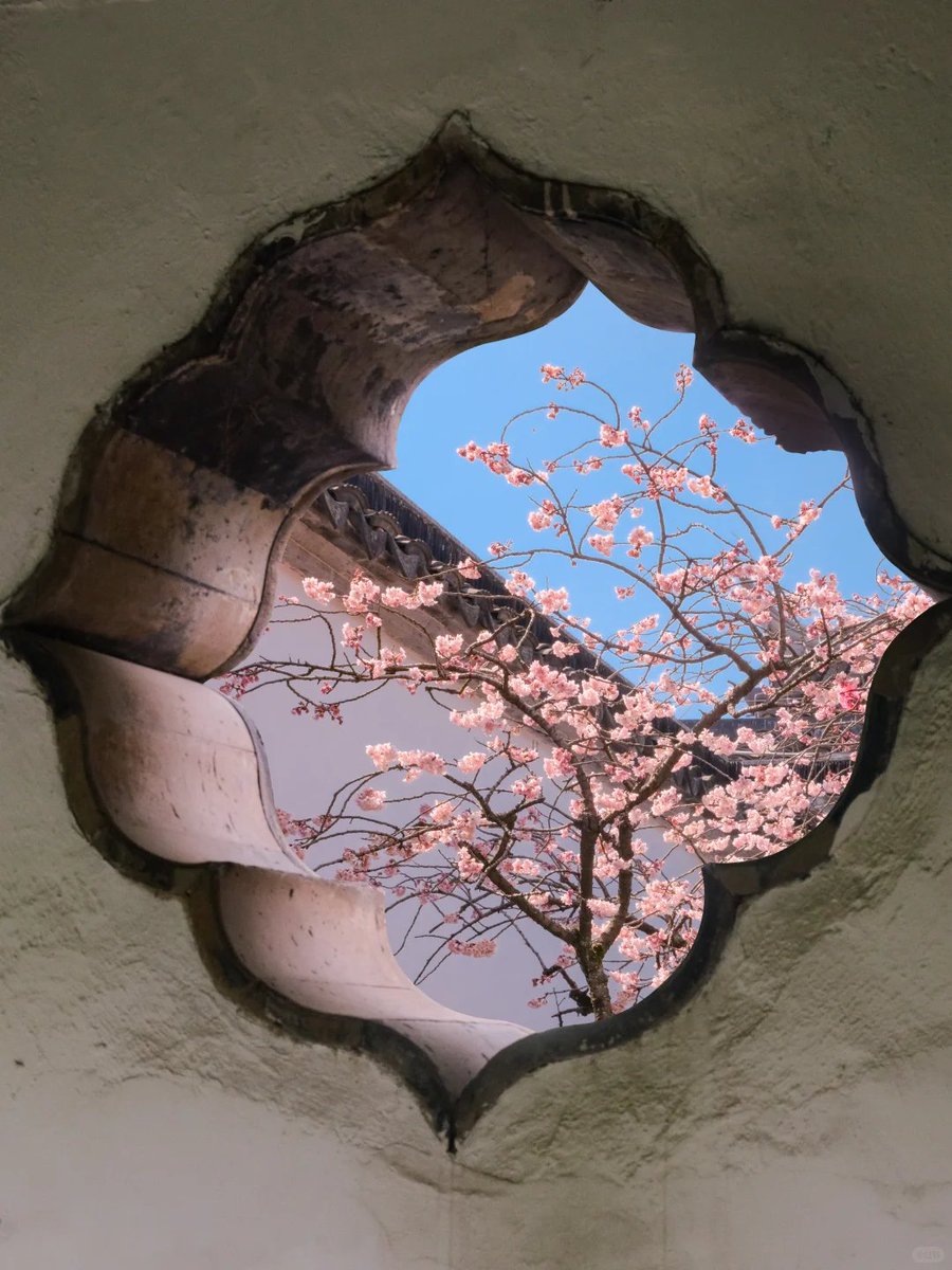 jjerjin's tweet photo. After the Spring Festival, Suzhou will welcome ten thousand moments of spring's bright and beautiful scenery‼️
#SuzhouSpringFestival #SuzhouSpring https://t.co/aw0mjiP0sh