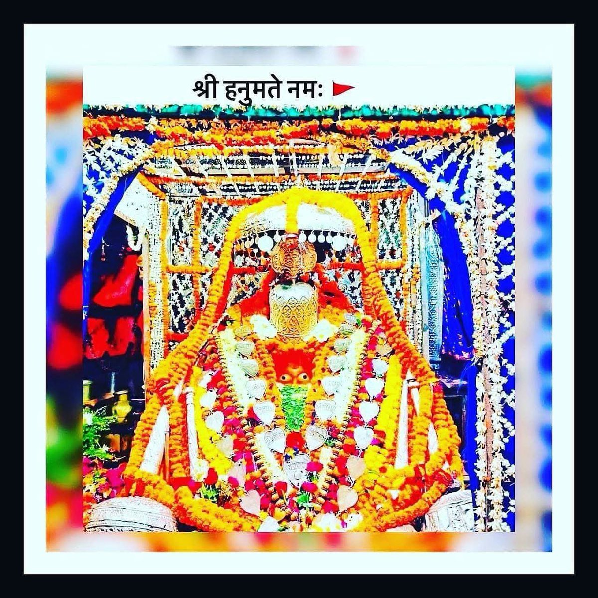 ☀️प्रभाते कर दर्शनम☀️

श्री हनुमते नमः🌹
श्री रामाय नमः🌷

अंजनि पुत्र महाबलदायी। 
संतान के प्रभु सदा सहाई।🚩

💙💙जय अयोध्या धाम जी 
♥️♥️जय जय सिया राम जी 
🧡🧡जय श्री अयोध्या हनुमान गढ़ी