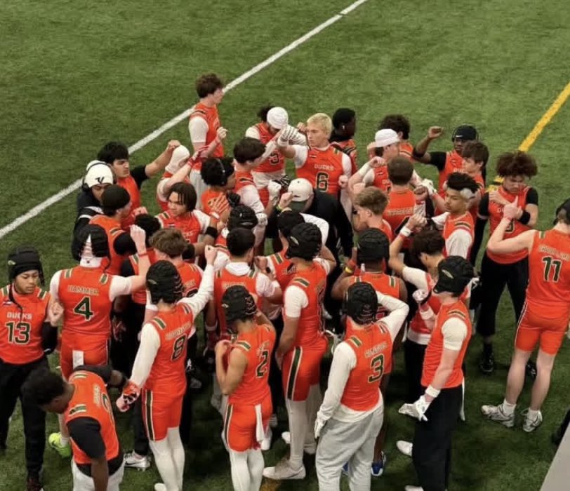 Nico Tolini tweet media