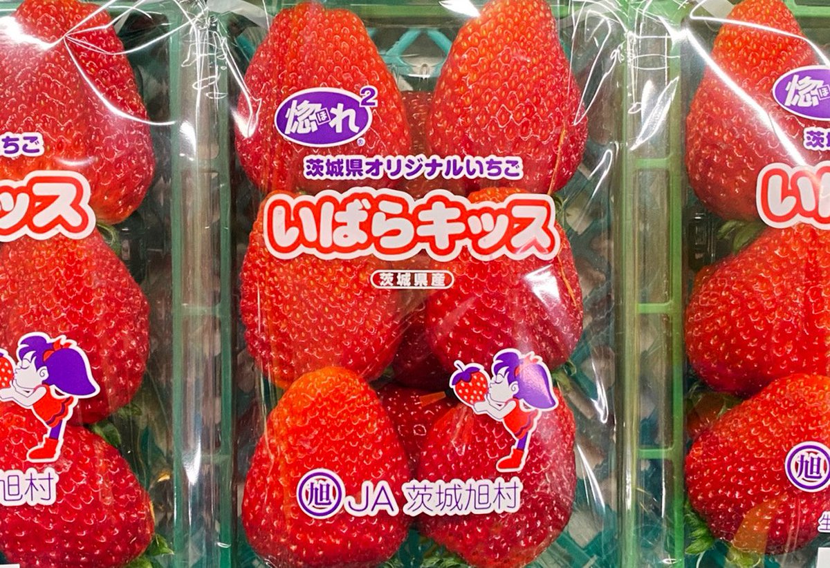 🍓プレゼントのお知らせ🍓 今週はJA茨城旭村イチゴ部会から 美味しい
