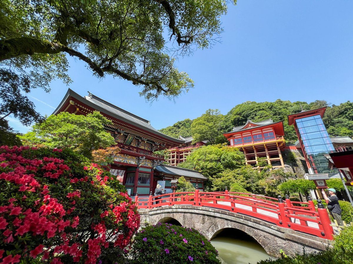 佐賀の建築は本当に良きです。