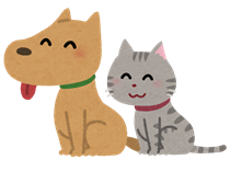 「行方不明犬・猫情報」を更新しました。
詳細は市のホームページをご覧ください。
city.hakodate.hokkaido.jp/docs/201407020…