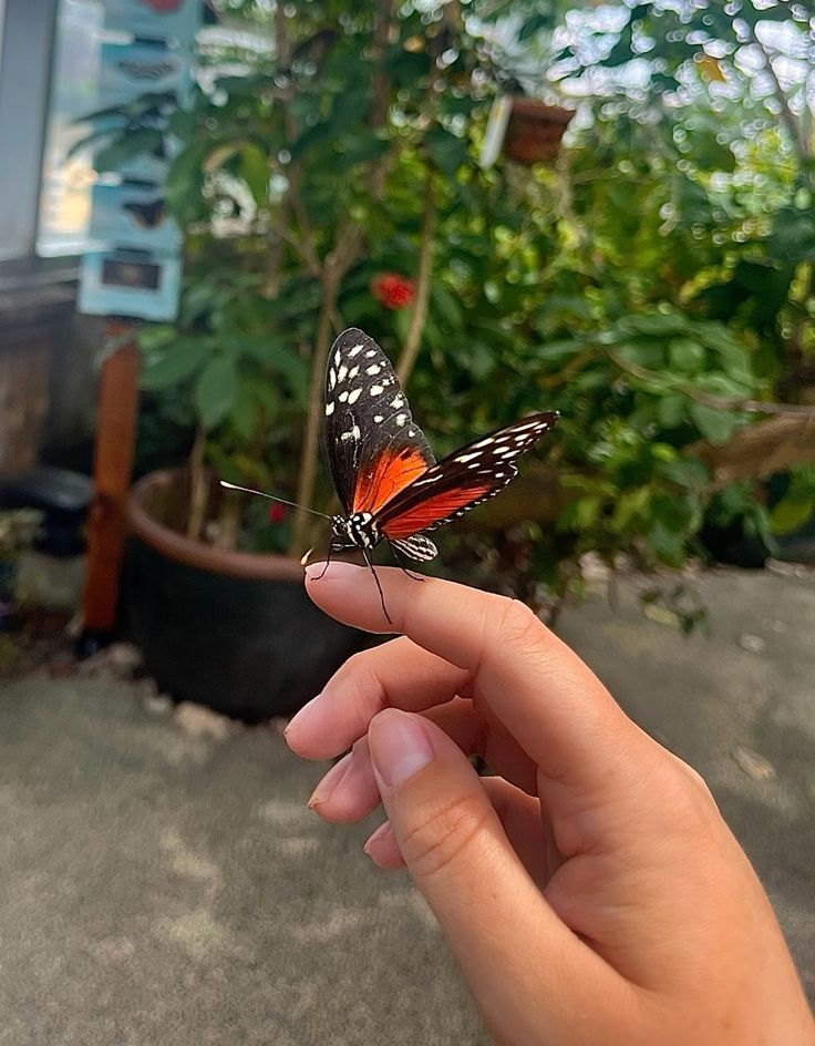 ನಮ್ಮ‌ ಯಶಸ್ಸಿನ ಹಿಂದೆ ಅದೆಷ್ಟೋ ಜನರ ಸಹಕಾರ ಹಾರೈಕೆಗಳು ಇರುತ್ತವೆ. ಅವರೆಲ್ಲನ್ನೂ ನೆನಪಿಸಿಕೊಳ್ಳುತ್ತಾ, ಗೌರವಿಸುತ್ತ ಹೆಜ್ಜೆ ಹಾಕೋಣ.

#ಮುಂಜಾನೆ_ಮಾತು