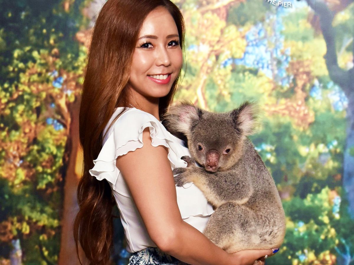 VELTRAスタッフが選ぶ
オーストラリアのおすすめツアー🇦🇺✨️
～ケアンズで夢のコアラ抱っこ写真体験～

コアラはとっても繊細で抱っこできる機会は貴重！
ケアンズに来たらぜひ体験してください🐨

春休みキャンペーン実施中で予約は今がおすすめ！
ツアー詳細はこちらのリンクをチェック👇️