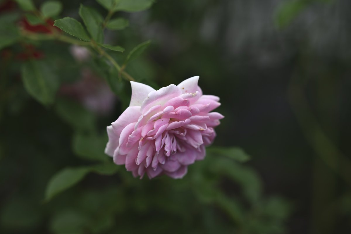 【♡Masumi♡ページ】 kazumi | 立春♡あっというまに2月！ もう次の秋に向けての企画が