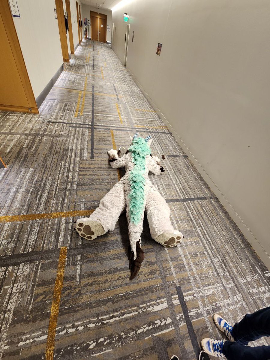 BingQiLong tweet media