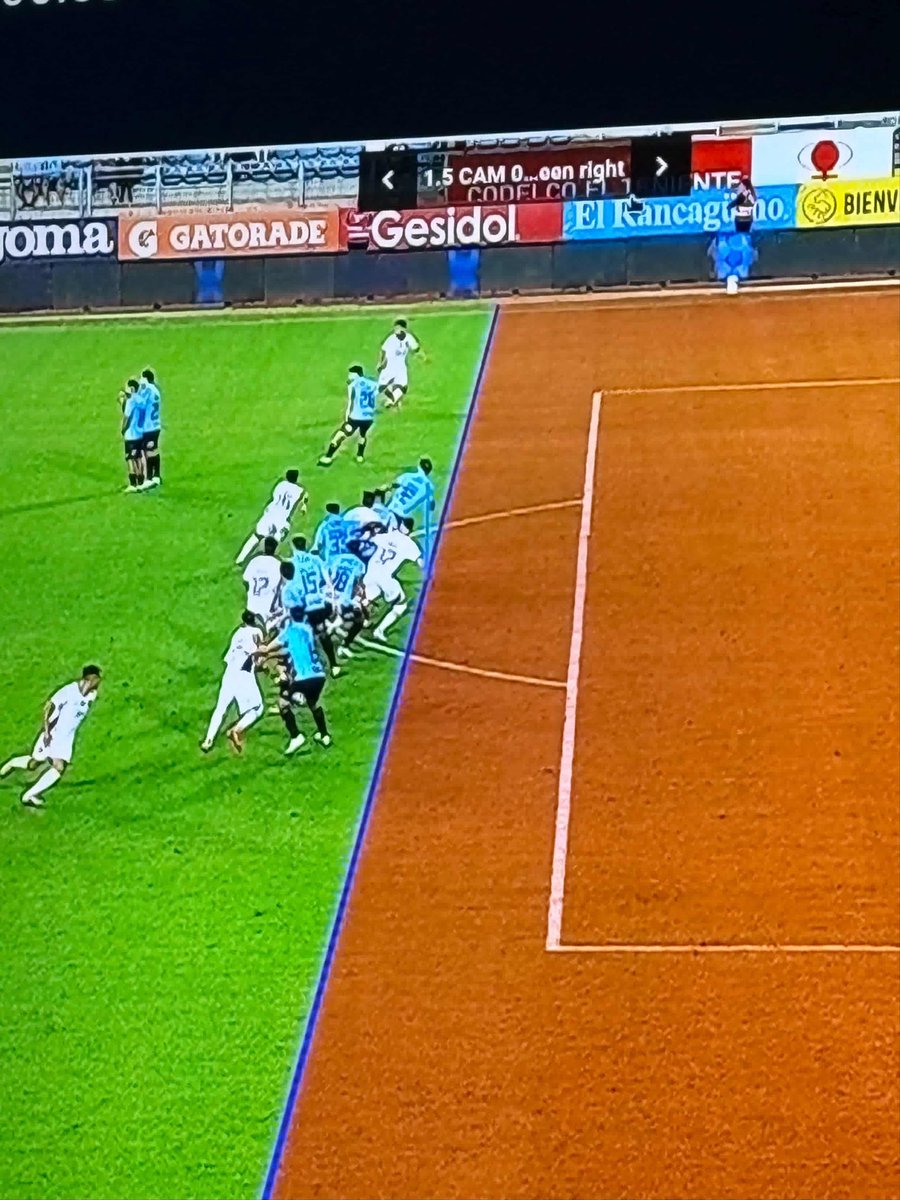 TodoxCDLS tweet media