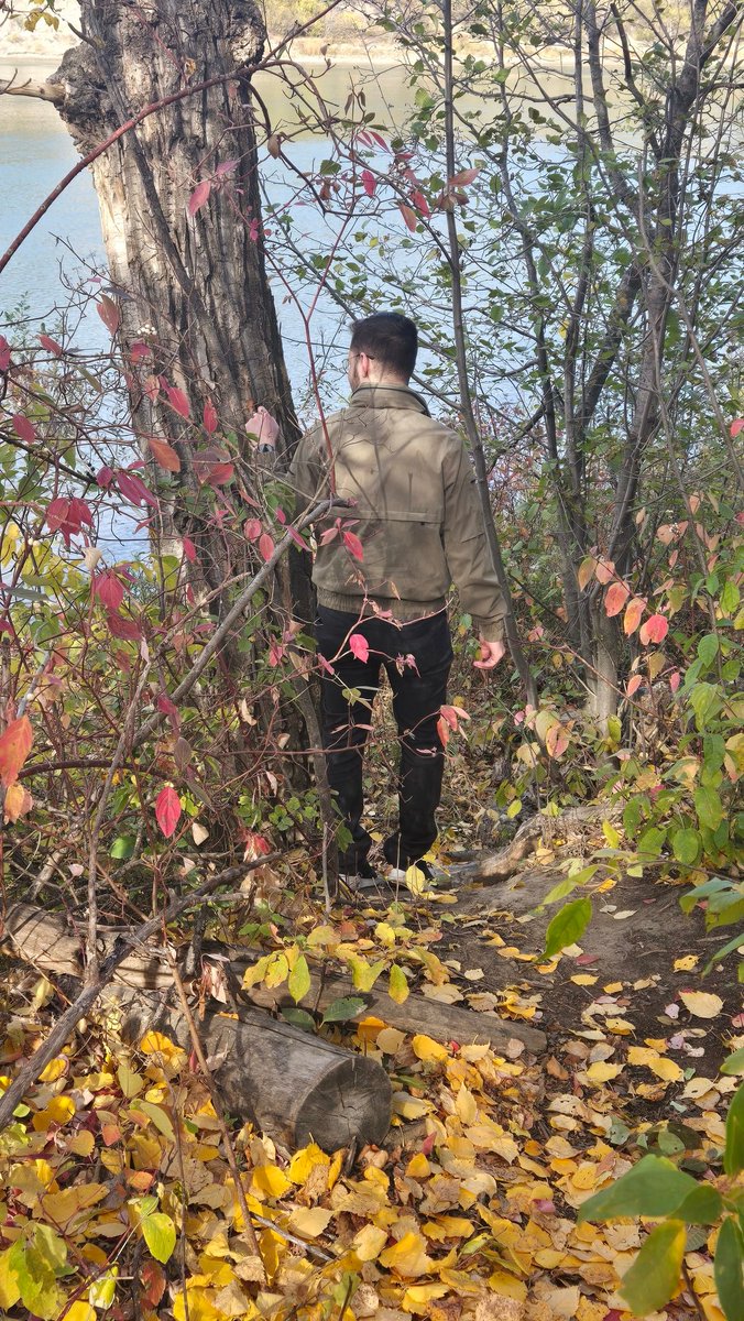 Jesse 🌙 || Judge PNGtuber 🧑‍⚖️ tweet media