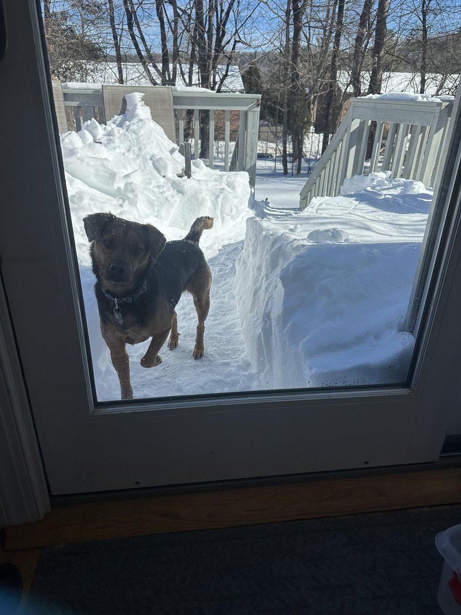 Nichole Liza tweet media