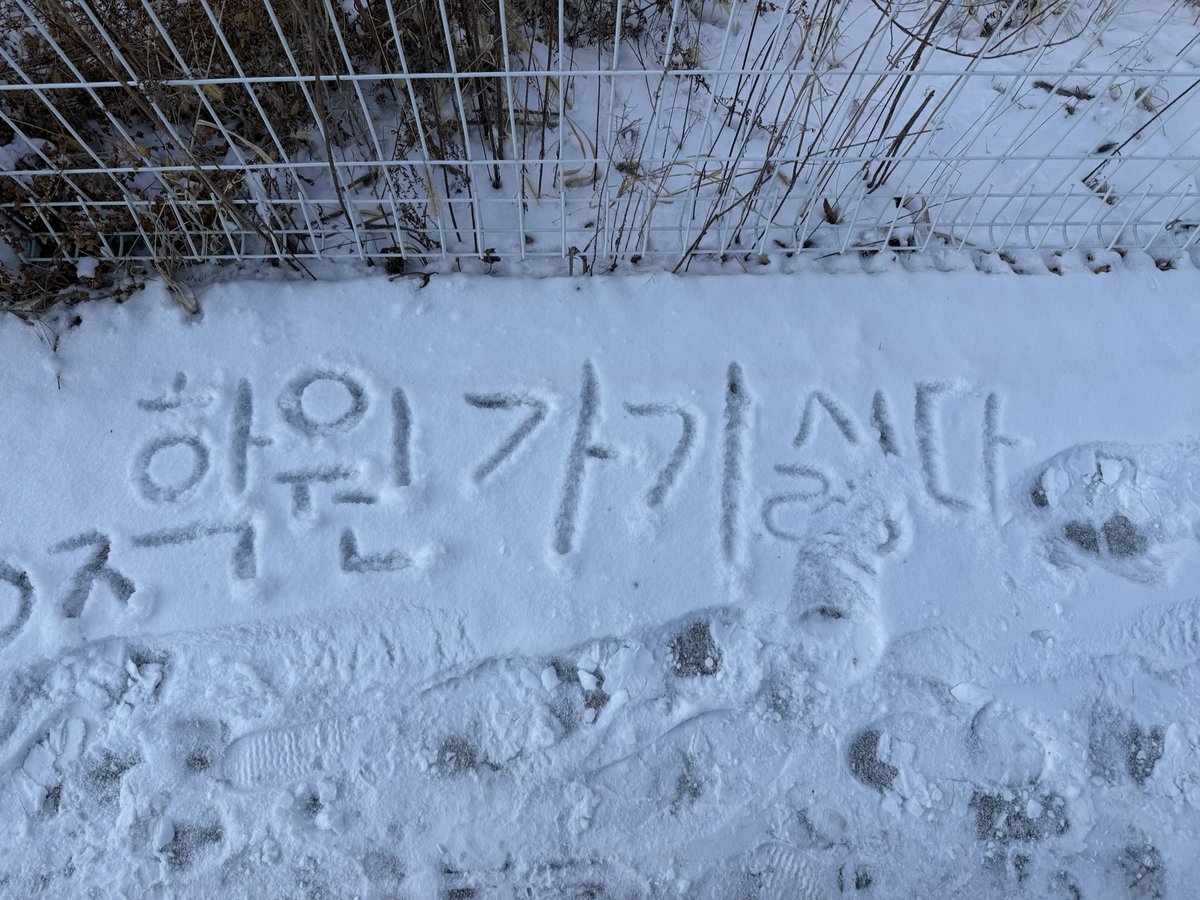 viper003's tweet photo. 학원은 괜찮지. 회사가 가기 싫지. https://t.co/uP88Nc7Agh
