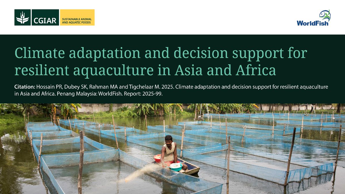 WorldFishCenter's tweet photo. 🌍 New publication: Building climate-resilient aquaculture

A crucial new report brings together climate adaptation practices from Bangladesh, Kenya and Zambia—outlining the foundations of an Adaptation Decision Support System (ADSS 4 Aqua) to help guide policy, planning, and investment for resilient aquaculture.

This translates climate risks into practical, context-specific options to support policymakers, development partners, and practitioners working to safeguard food security, livelihoods, and aquatic food systems. 

📘 Read the full publication:
https://t.co/UhSSAQR4cc

#AquaticFoods #FoodSystems #BlueEconomy #Aquaculture #FoodSecurity #NutritionSecurity #Livelihoods #ClimateChange #SharedProsperity #Bangladesh #Kenya #Zambia