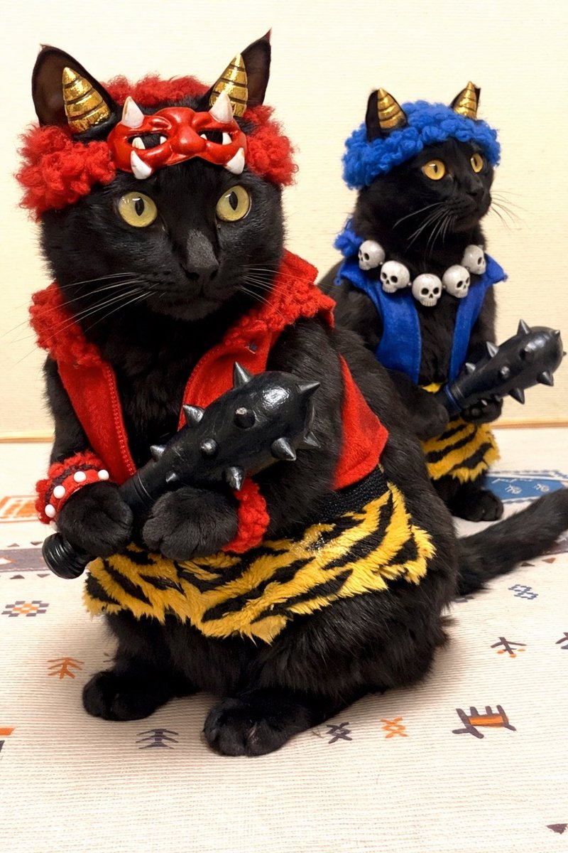 黒猫が正午と節分をお知らせ致します

オカンは歳の数だけ豆食べたら腹壊すからやめときや