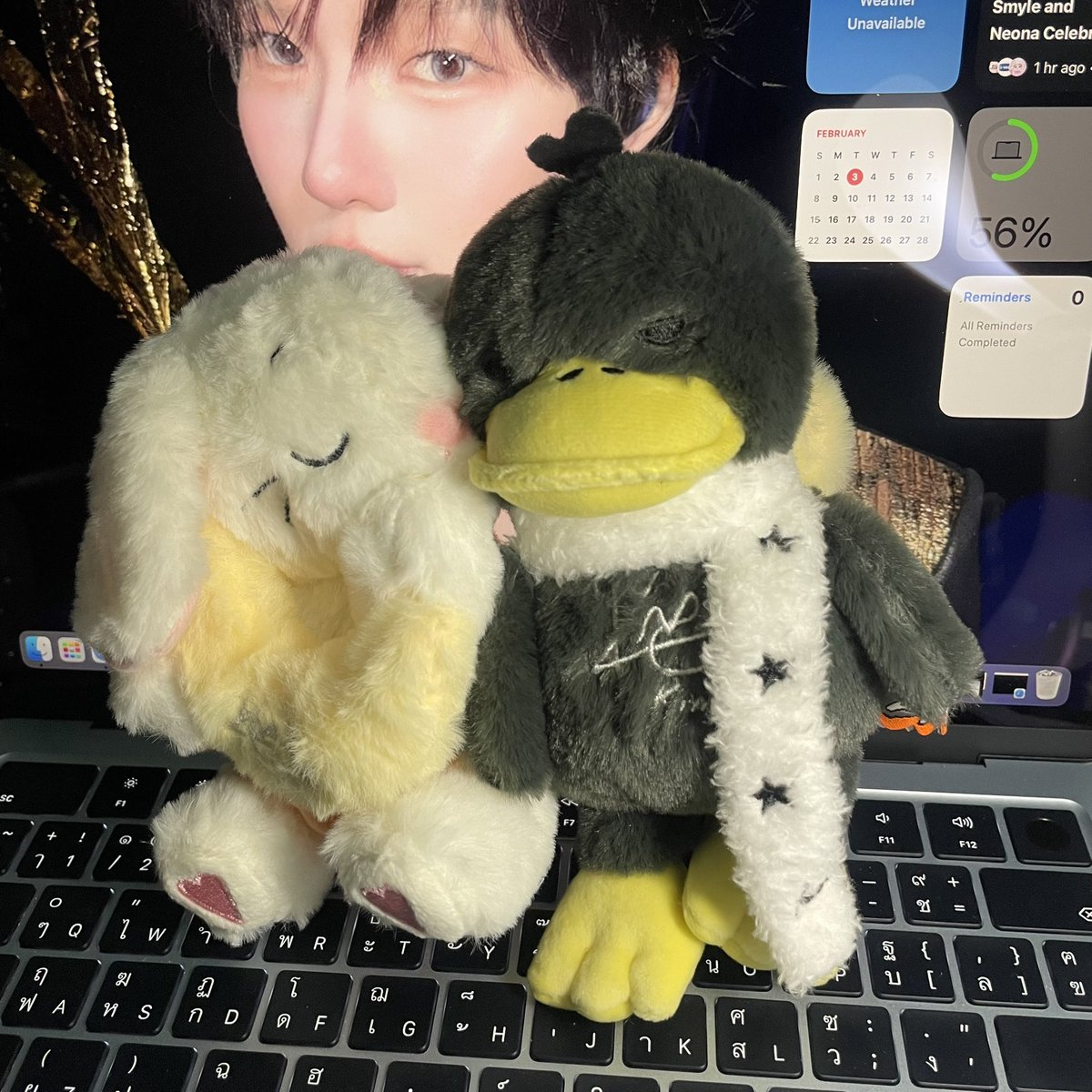 ᡣ𐭩 ʚ ฟางฟาง ɞ ꒰⍢⑅ ꒱꙳ tweet media