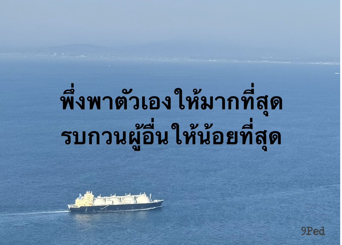 9ped_mood's tweet image. ✌️🤍