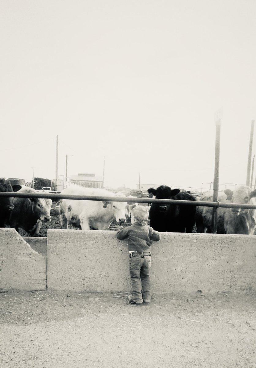 HJ turned 2 today  I think he might feed cattle