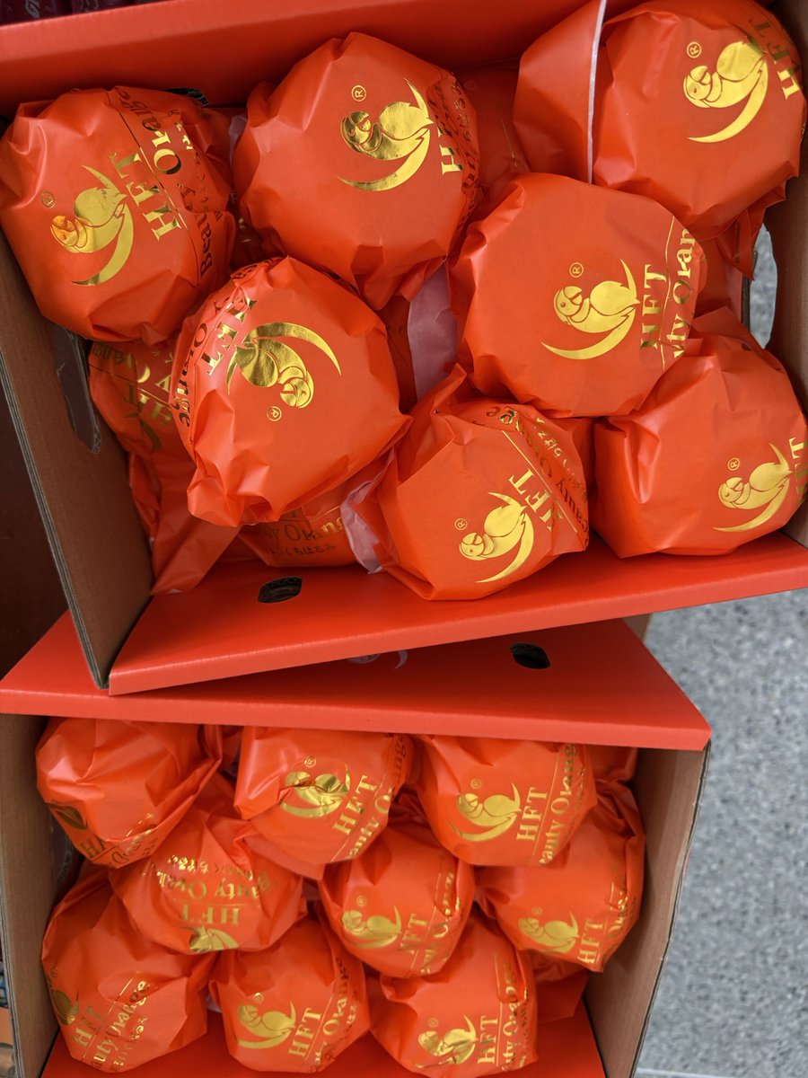 OnlyNetS's tweet photo. เป็นคนชอบทานส้มจุกอยู่แล้ว 🍊
แต่นี้เป็นครั้งแรกที่สั่งจาก @fruitoria2024 
ส้มสด อร่อยมาก
แอดมินน่ารัก ให้ข้อมูลอย่างครบถ้วนใจเย็น ติดตามสถานะการจัดส่งให้ตลอด
เดี๋ยวกดเชอรี่มาเพิ่ม 🍒
#FruitoriaxTleFirstOne 
#FruityBouquetMomentwithTleFirstOne
#Fruitoriaอาณาจักรผลไม้ #fruitoria https://t.co/BFkOGd56UM