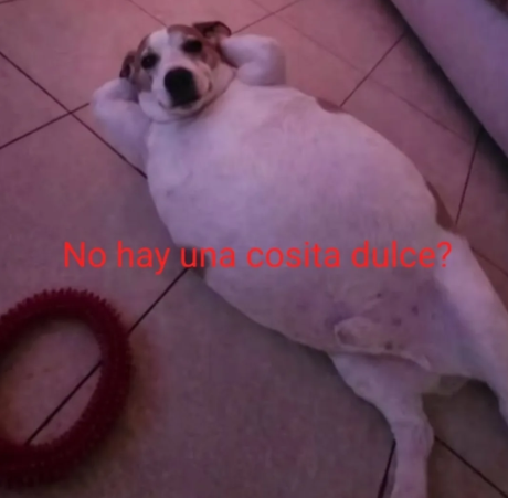 Rolita (@_onerolita) on Twitter photo 