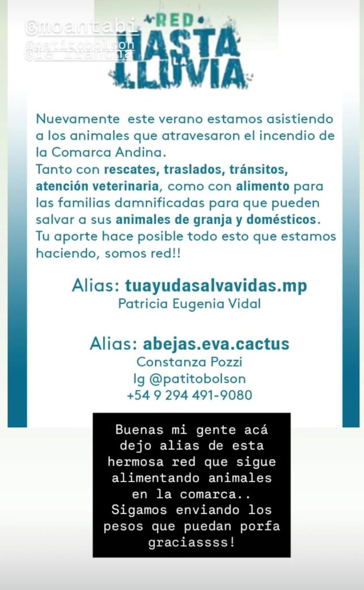 📢ARMY ARGENTINA 🇦🇷

La Patagonia nos necesita hoy💜

Nuestra Patagonia está atravesando un momento muy difícil.
Mientras el fuego avanza, bomberos, brigadistas y voluntarixs arriesgan sus vidas sin descanso para proteger la tierra, los animales, los hogares y el futuro.

Cada