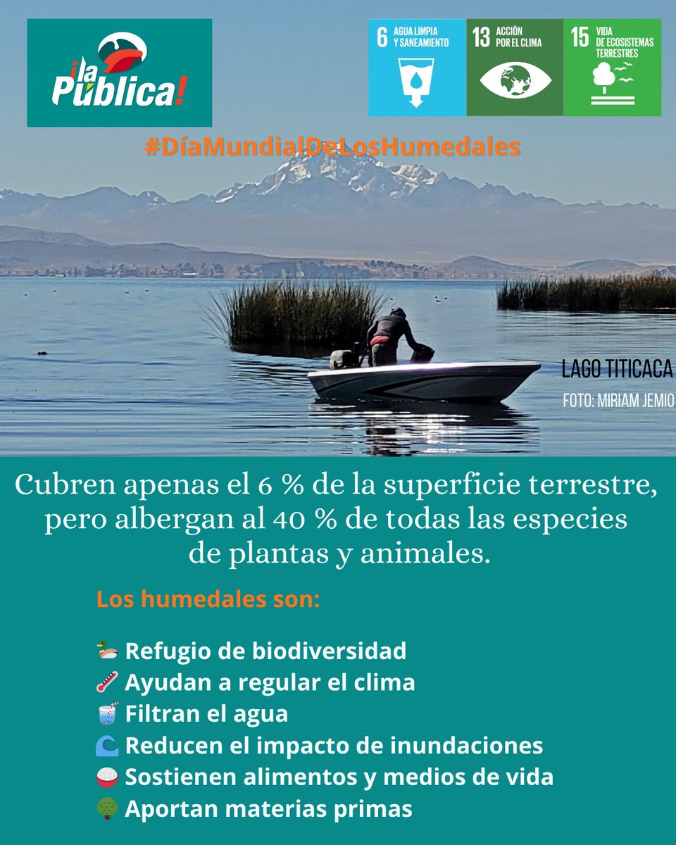 La Pública BO tweet media