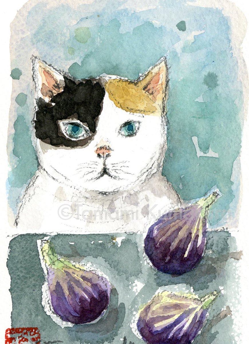 ポストカードサイズ原画 三毛猫と3つにいちじく A calico and three