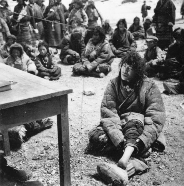 Li Zexin 李泽欣 tweet media