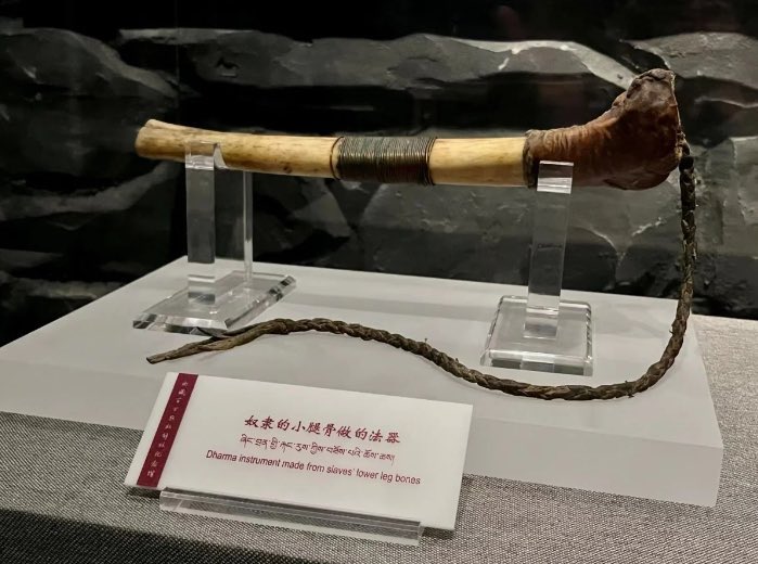 Li Zexin 李泽欣 tweet media