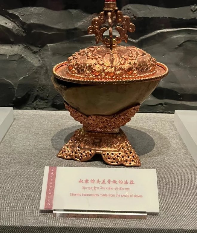 Li Zexin 李泽欣 tweet media