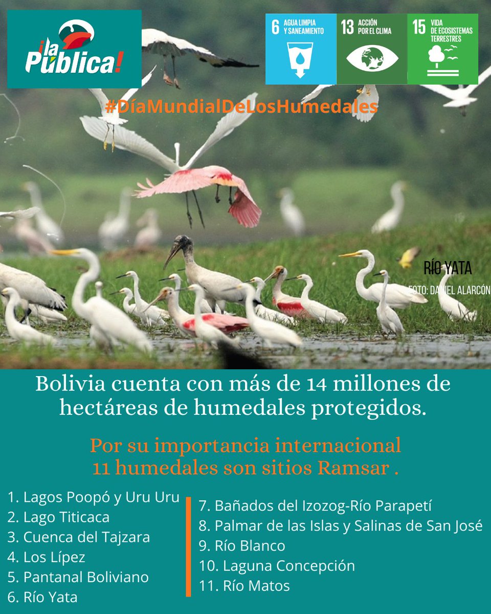 La Pública BO tweet media