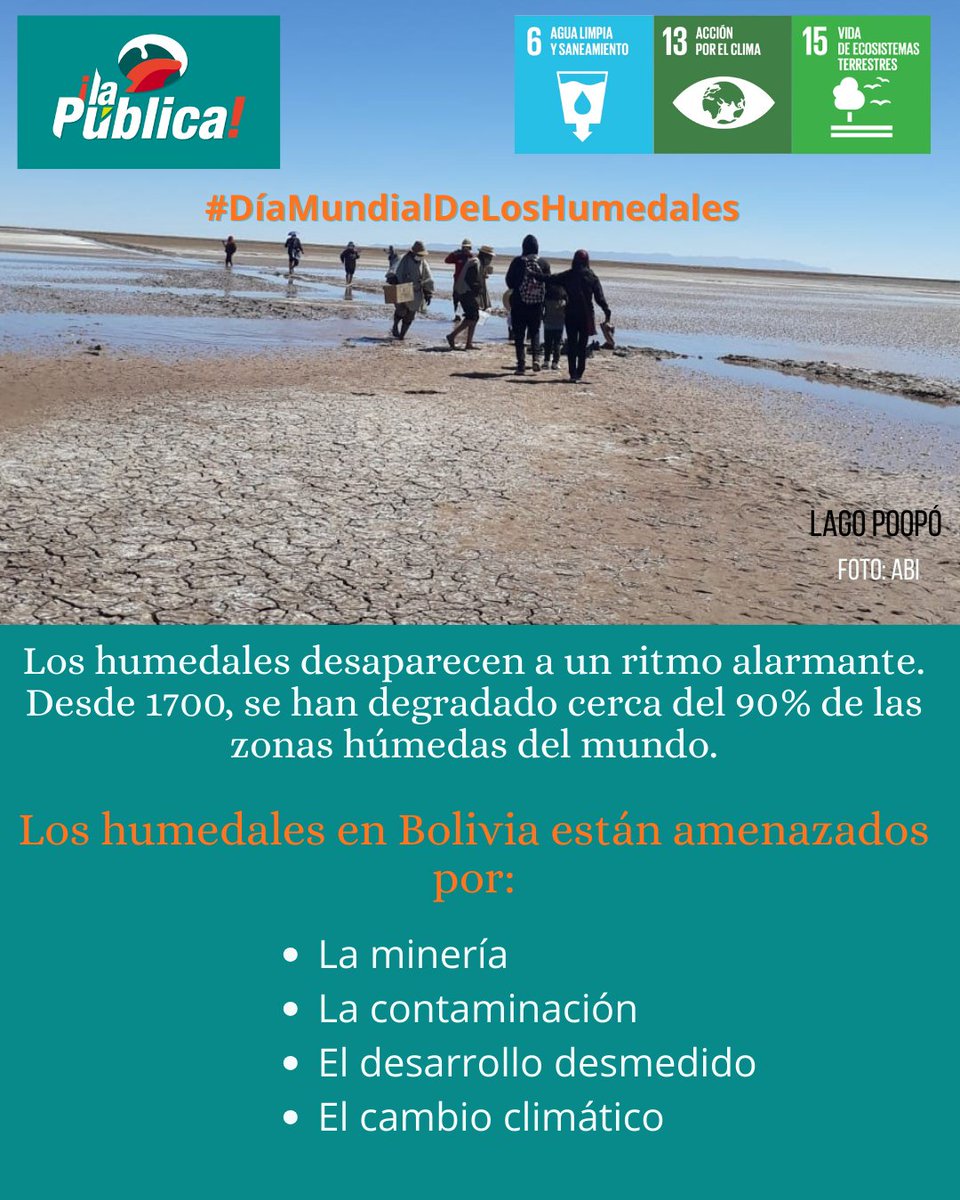 La Pública BO tweet media