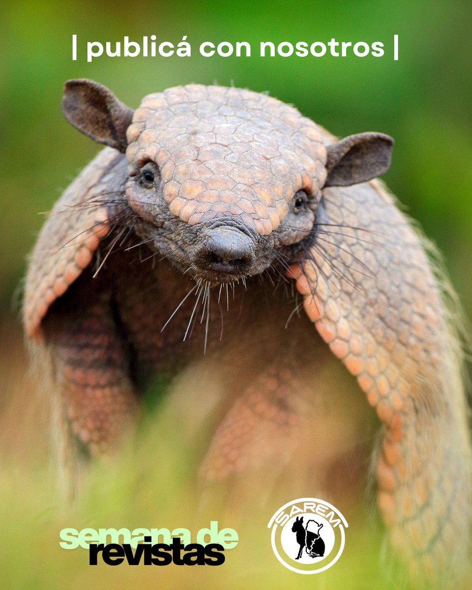 Comenzamos una nueva semana de Notas Sobre Mamíferos Sudamericanos  
 
😎Una semana para conocer un poco más de nuestra revista y nuestros artículos

👉Recordá que es de acceso LIBRE y GRATUITO