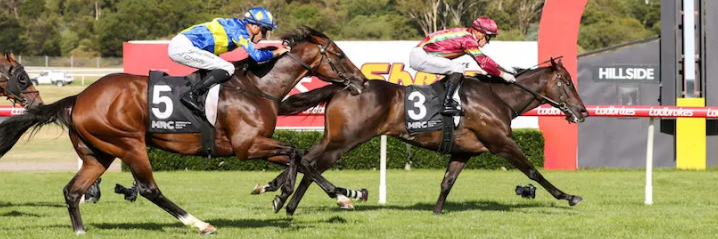 Sandown Hillside hosts twilight racing today, with a competitive eight race program on offer for punters!

Check out our best bets for the day here: beforeyoubet.com.au/sandown-racing…