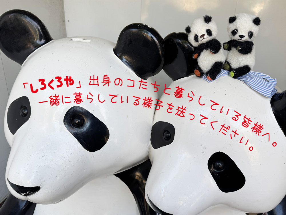 しろくろや (@shirokuro_ya) / Posts / X