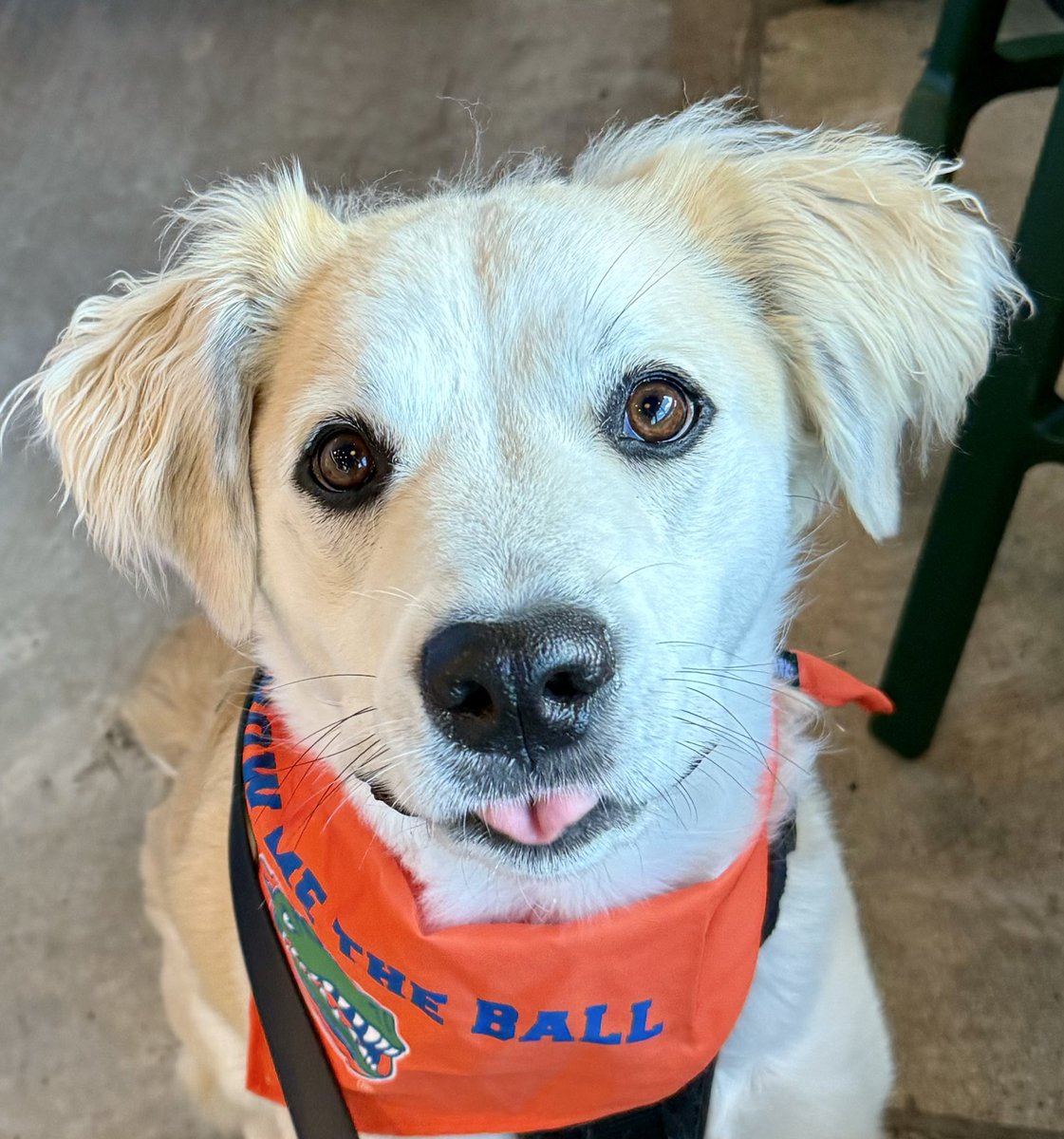 Blake Band tweet media