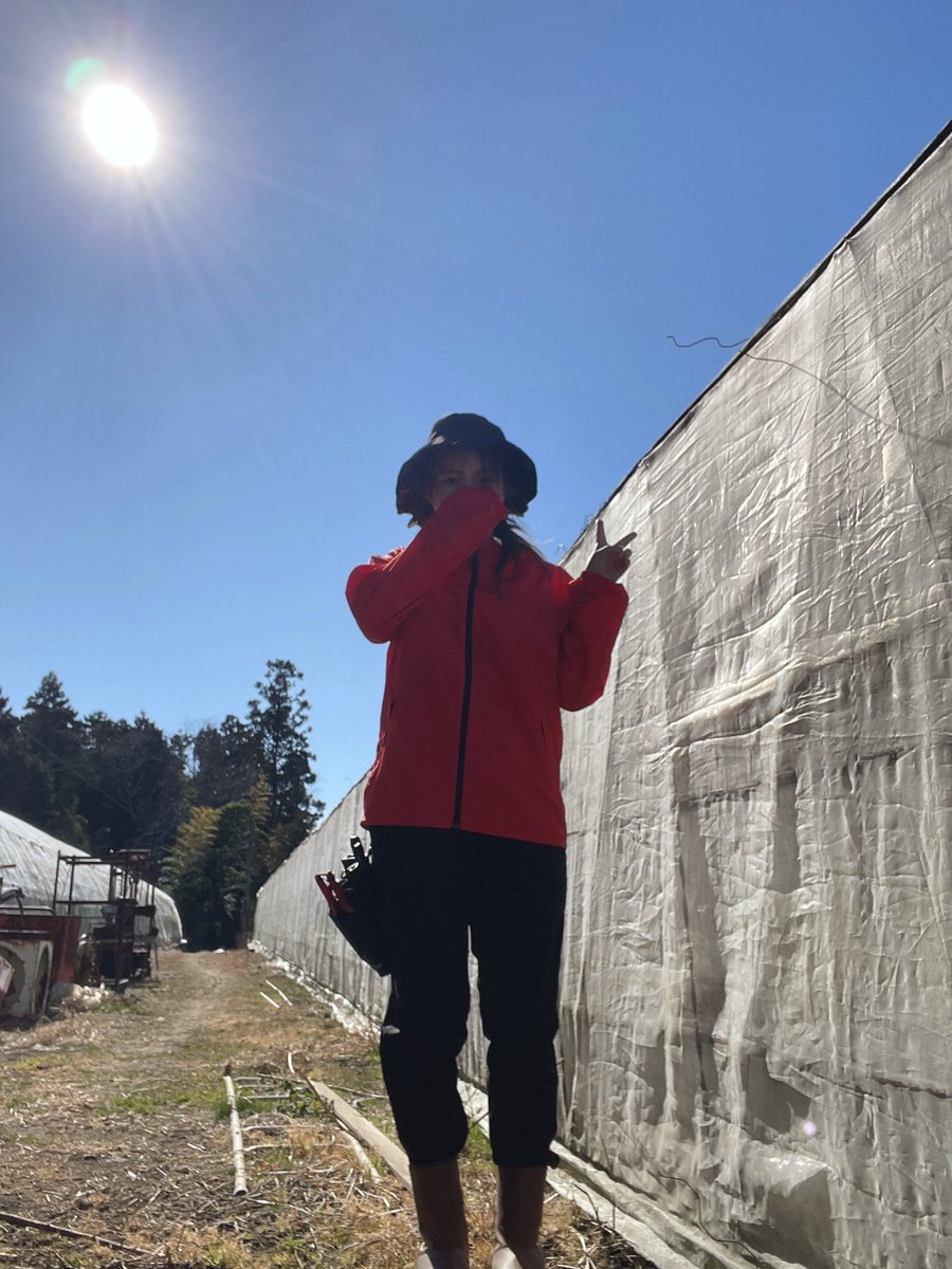 風のニャン太郎 ฅ^•ω•^ฅ (@kaze_nyantarou) / Posts / X