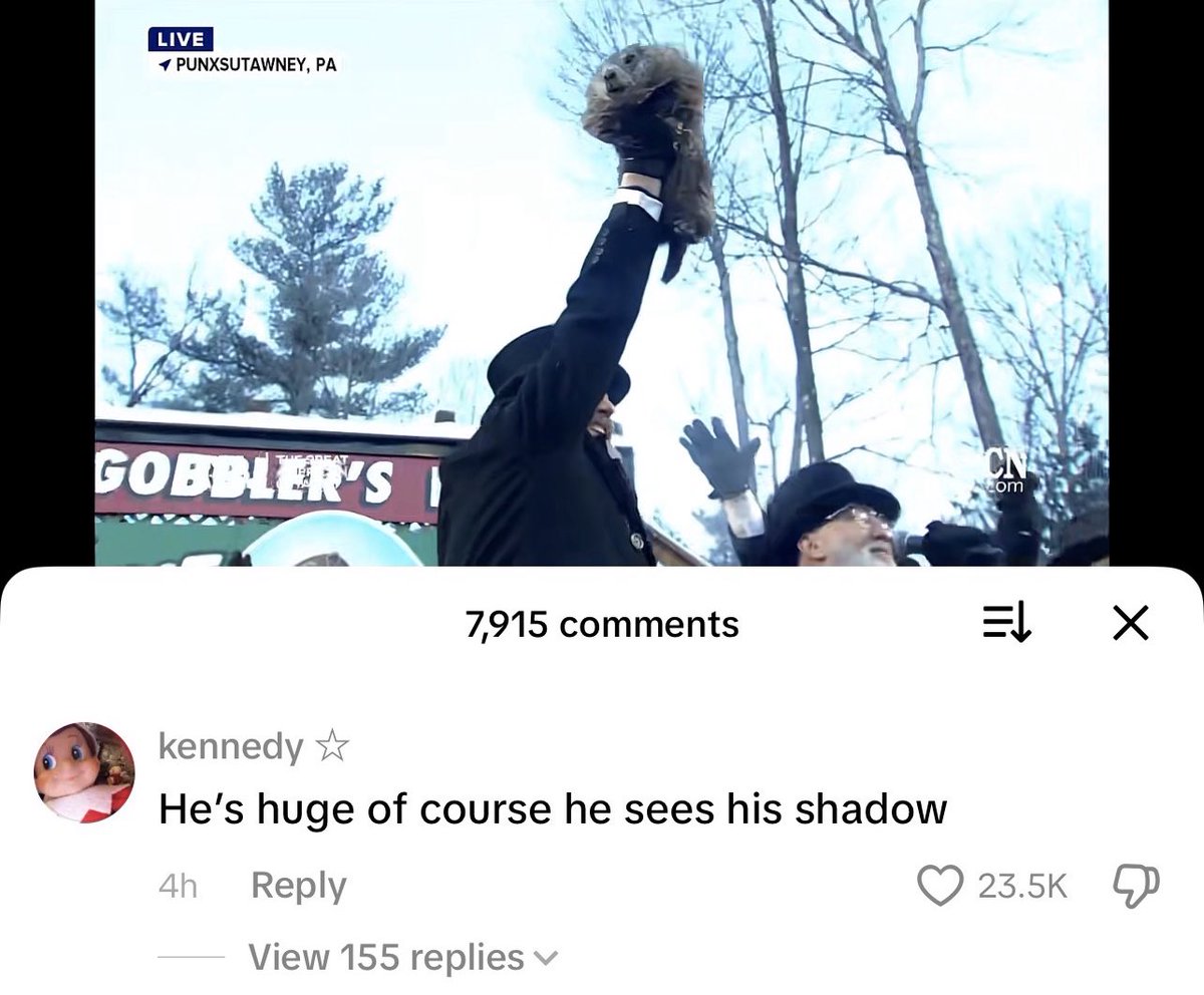 ⋆˙⟡ kae tweet media