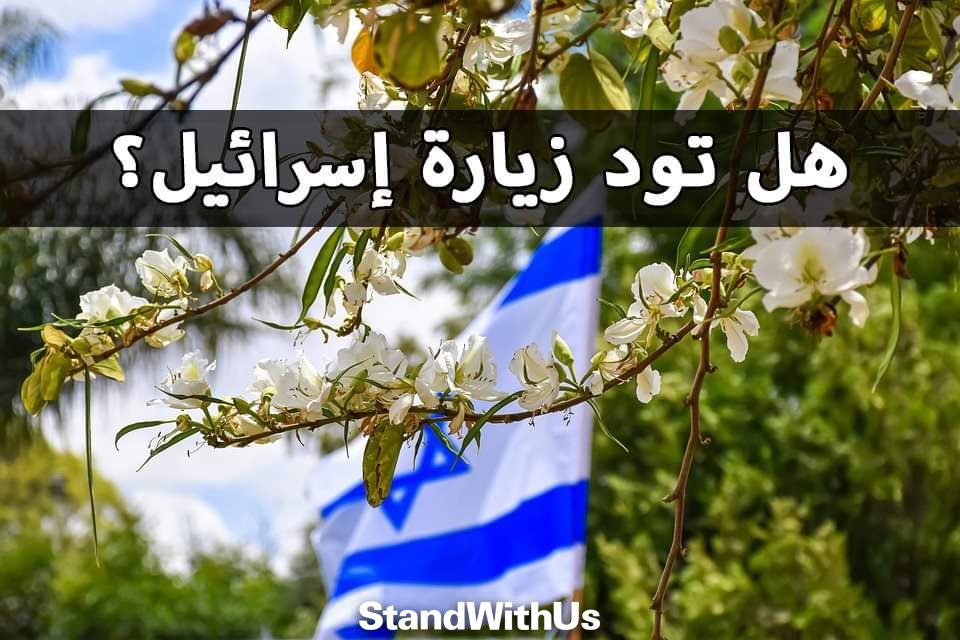 المملكة المغربية، ولا غالب إلا الله🇲🇦 tweet media