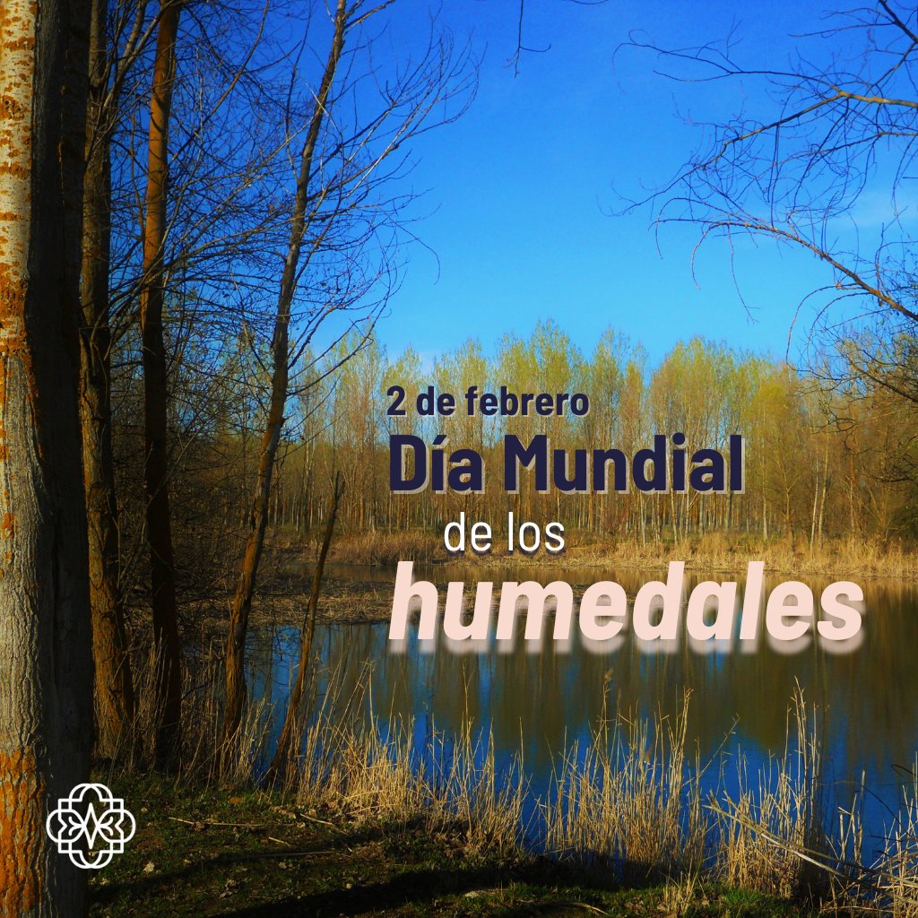 ¡Feliz #DíaMundialdelosHumedales! 🏞
¿Sabías que muchos humedales son destinos de #Turismo sostenible y cultural? 🌎
En ellos se practican actividades como observación de aves, kayak y #Ecoturismo. Estos conservan tradiciones ancestrales ligadas al agua y la naturaleza. 🌱

#unam