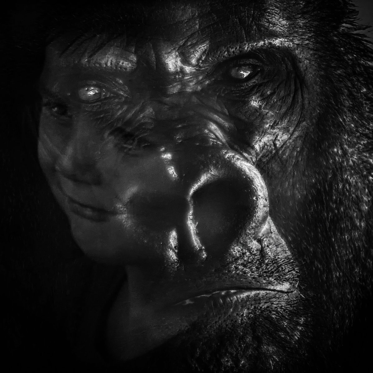 Victor Fernandes tweet media