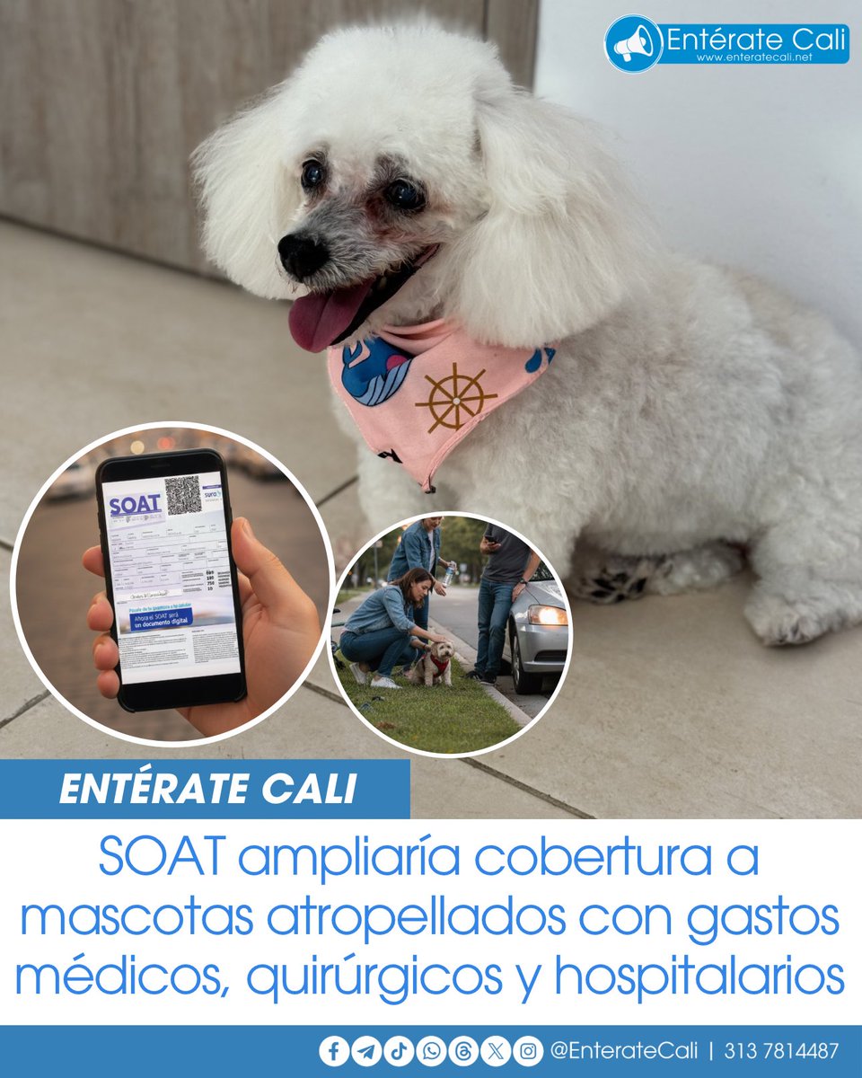 Un nuevo proyecto de ley llamado “Huellas Vivas” fue radicado en el Congreso de la República, promovido por el representante Juan Camilo Londoño del partido Alianza Verde. La iniciativa propone modificar el Código Nacional de Tránsito para que el Seguro Obligatorio de Accidentes