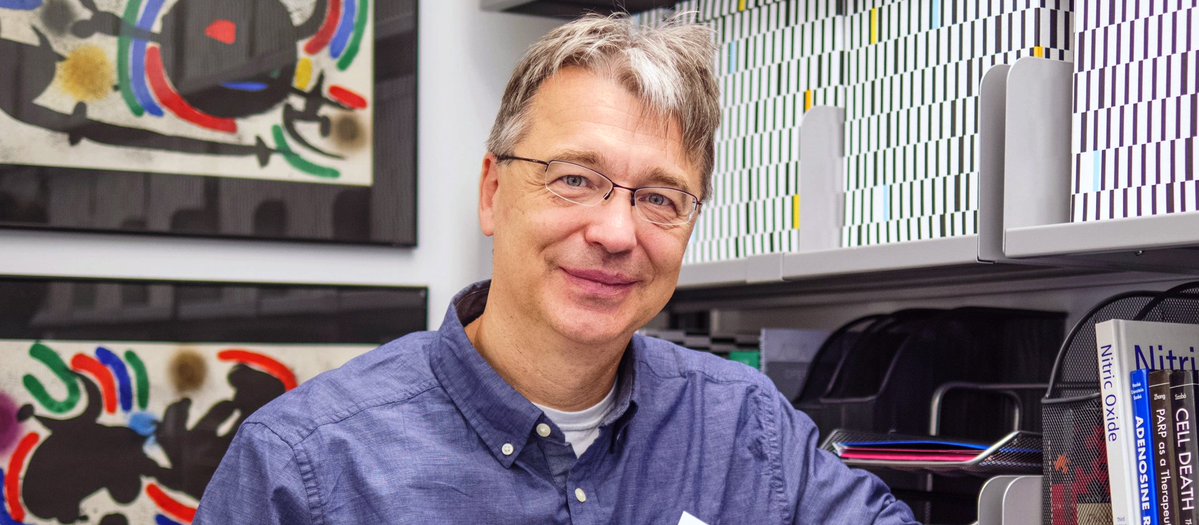 白楽ロックビル tweet media