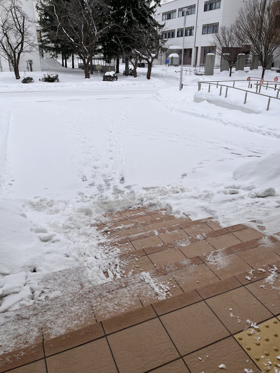 Mino Kimoto Minoru tweet media