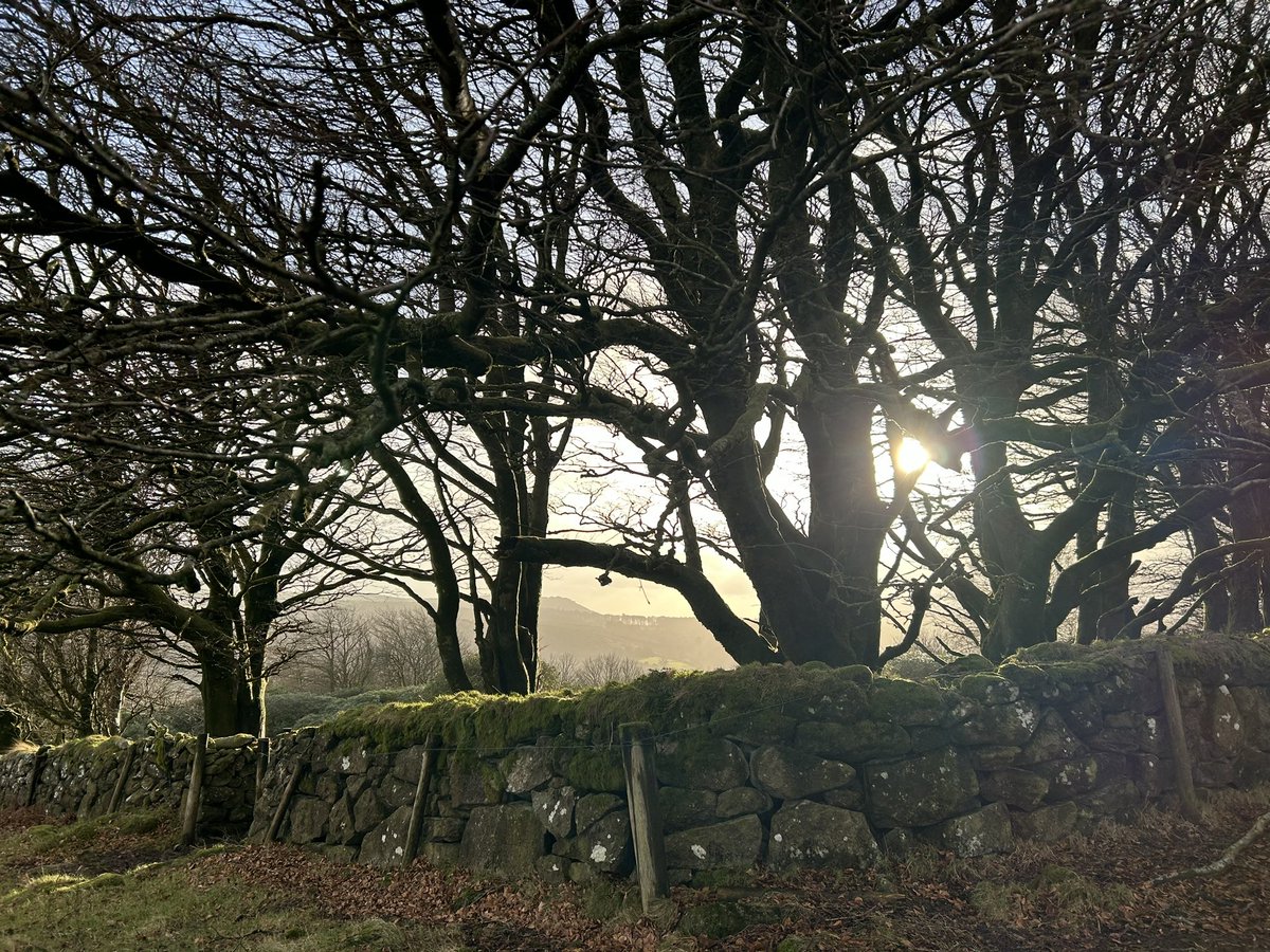 WoodlandNomad's tweet photo. I adore the British countryside. If there is one place that doesn’t need to be changed or interfered with, it’s the countryside. https://t.co/DE9u6r9xMo