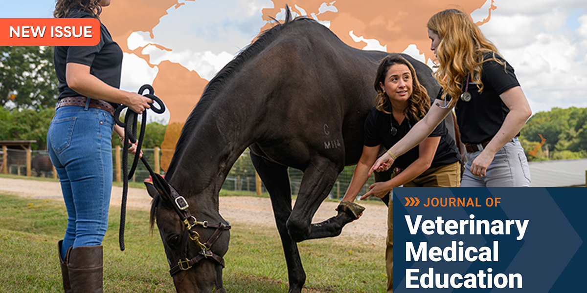 utpjournals's tweet image. Researchers from @SeoulNatlUni and @WesternUVetMed explore current veterinary ethics education in South Korea in the new issue of @JVME_AAVMC.
Check it out here: bit.ly/JVME526g 
@AAVMC #VeterinaryEducation #Ethics