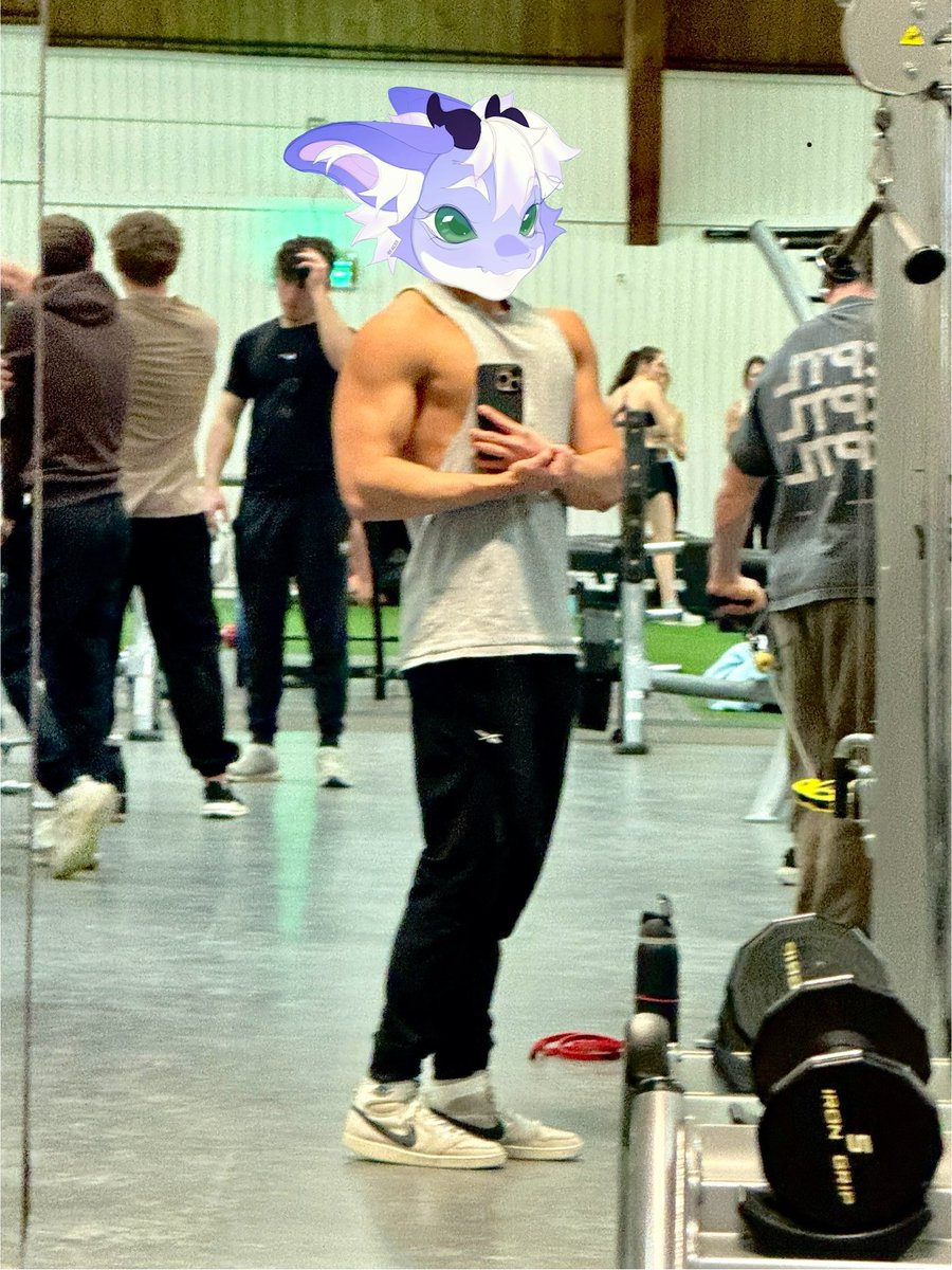 DomDom 🔜 FWA tweet media