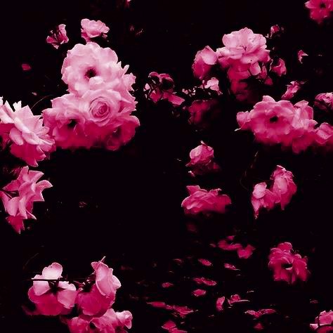 ➵ 𝘃𝗲𝗻𝘁𝗶 (@anemobardic) on Twitter photo 