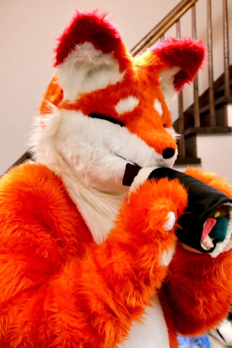 今日は節分！
恵方巻きﾓｸﾞﾓｸﾞ(*´༥`*)
#FursuitEveryday