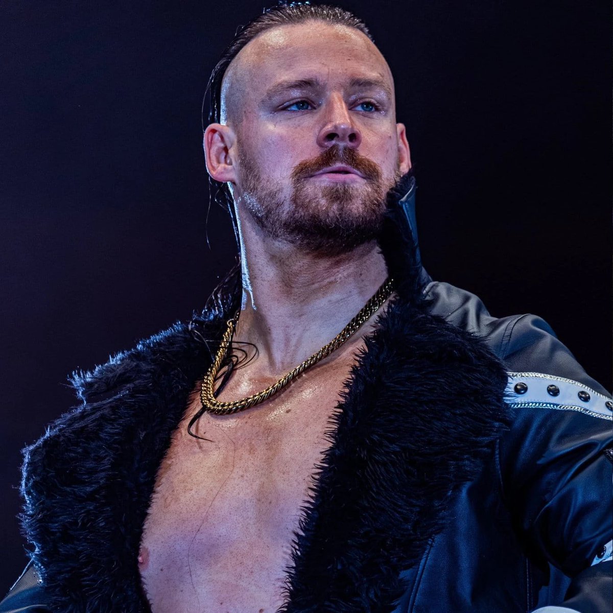 WrestlePurists tweet media