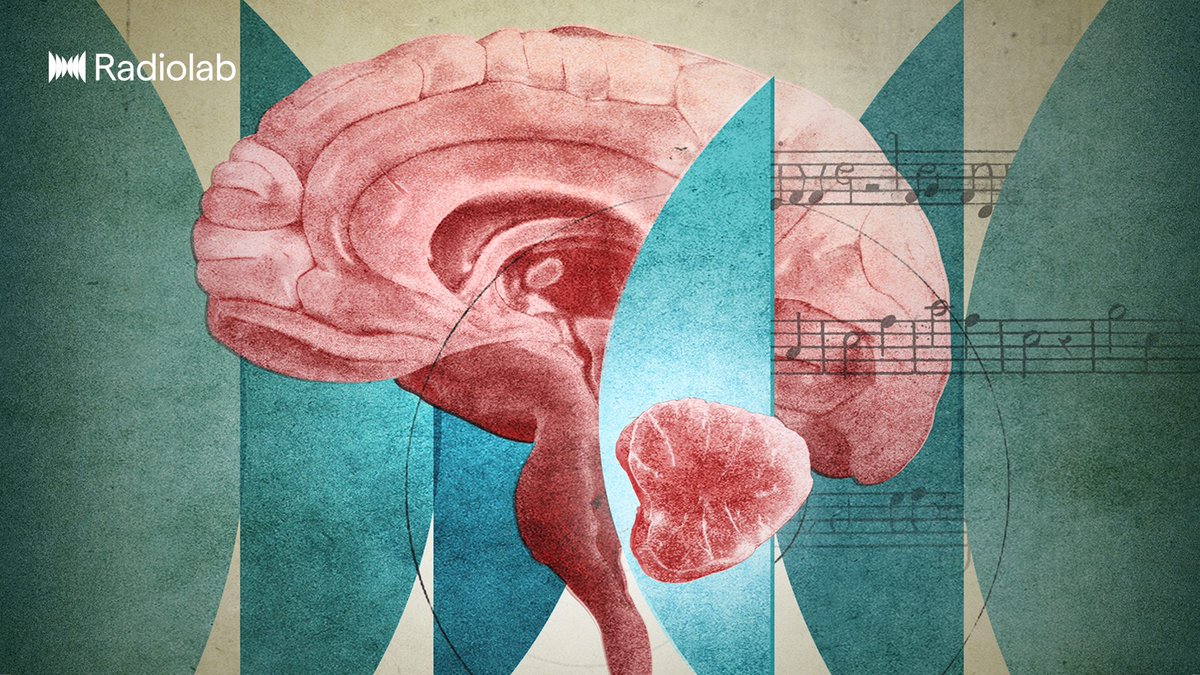 Radiolab's tweet image. The bad news: At 35, Rachel E. Gross found out she had a stroke. The good news: the stroke was in her cerebellum, a part of the brain that doctors assured her was "redundant."
But after Rachel had surgery in her cerebellum, she didn't feel like herself. lnk.to/radiolab?utm_s…