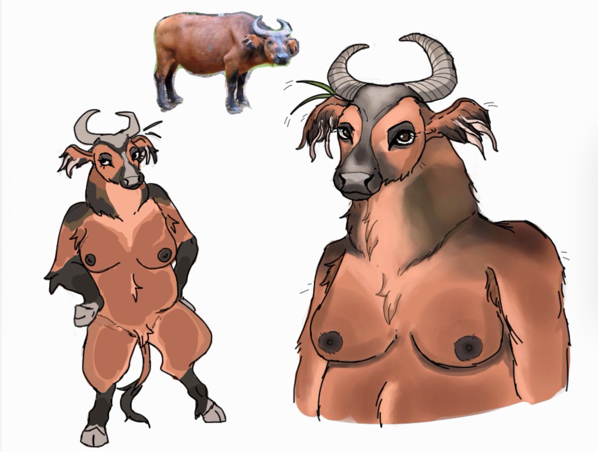 Jam_Peanutbutt's tweet photo. African forest buffalo

#furryartwork https://t.co/PvrzxW2gnR